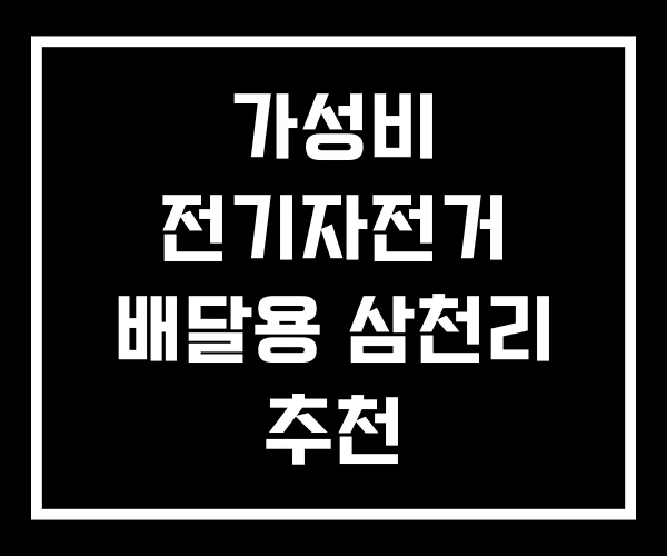 가성비 전기자전거 배달용 삼천리 추천