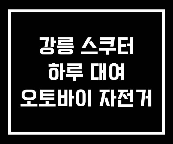 강릉 스쿠터 하루 대여 오토바이 자전거 강릉 스쿠터 하루 대여 오토바이 자전거
