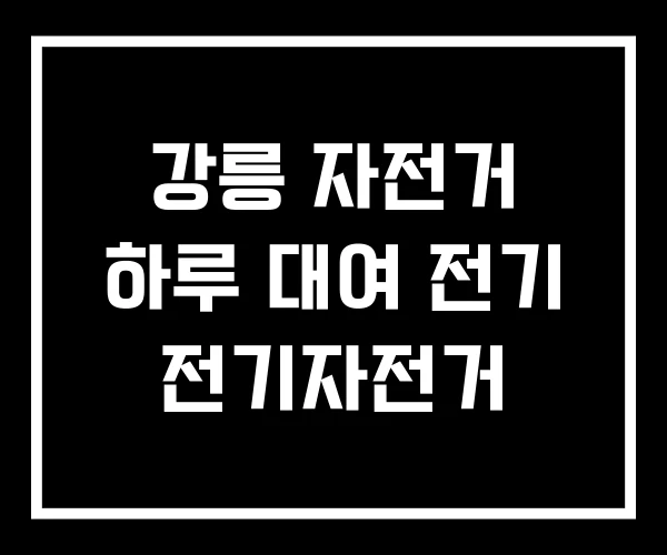 강릉 자전거 하루 대여 전기 전기자전거 강릉 자전거 하루 대여 전기 전기자전거