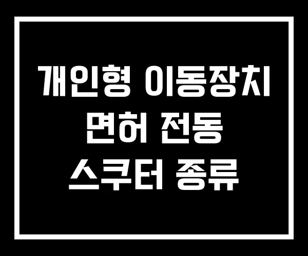 개인형 이동장치 면허 전동 스쿠터 종류 개인형 이동장치 면허 전동 스쿠터 종류