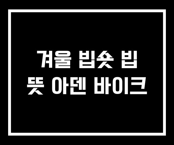 겨울 빕숏 빕 뜻 아덴 바이크 겨울 빕숏 빕 뜻 아덴 바이크