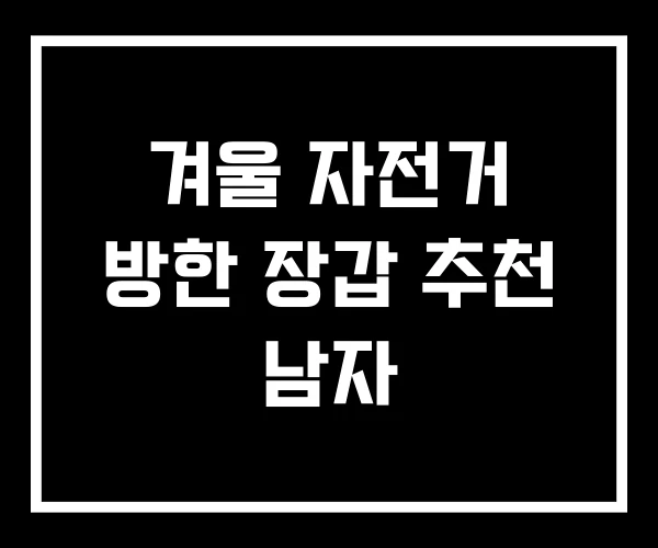 겨울 자전거 방한 장갑 추천 남자