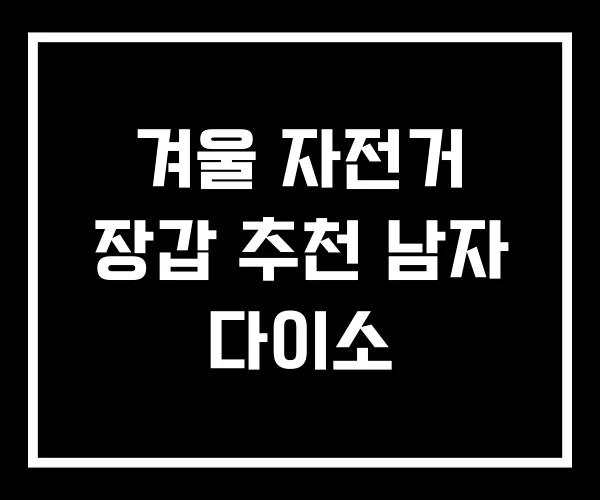 겨울 자전거 장갑 추천 남자 다이소 겨울 자전거 장갑 추천 남자 다이소