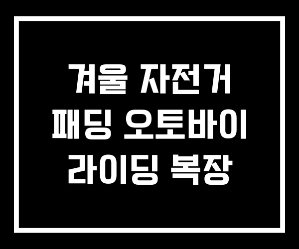 겨울 자전거 패딩 오토바이 라이딩 복장