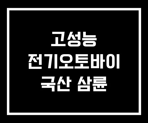 고성능 전기오토바이 국산 삼륜