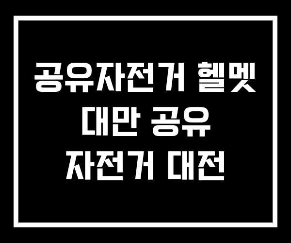공유자전거 헬멧 대만 공유 자전거 대전