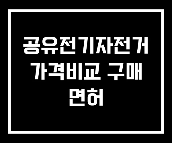 공유전기자전거 가격비교 구매 면허