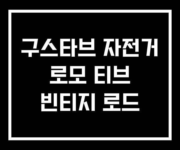 구스타브 자전거 로모 티브 빈티지 로드