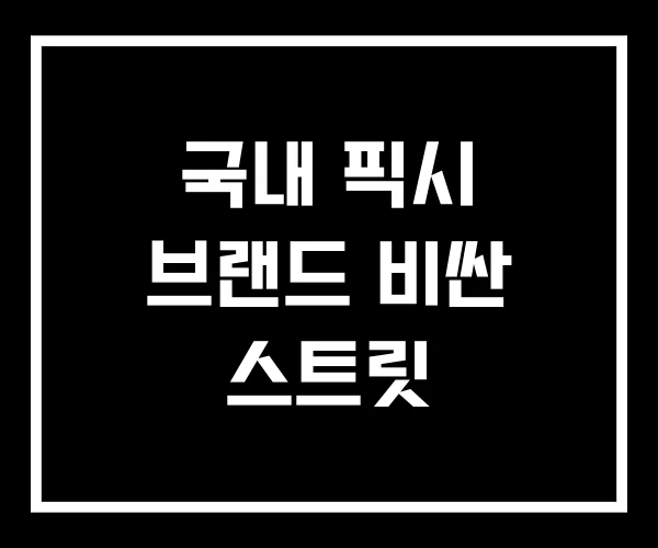 국내 픽시 브랜드 비싼 스트릿
