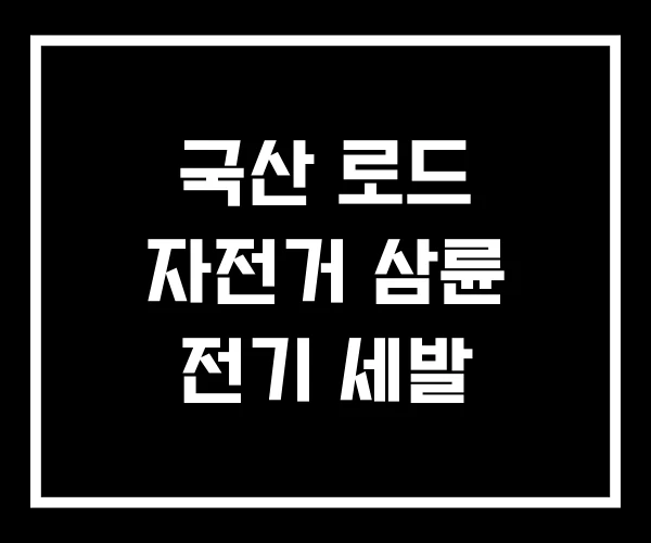 국산 로드 자전거 삼륜 전기 세발