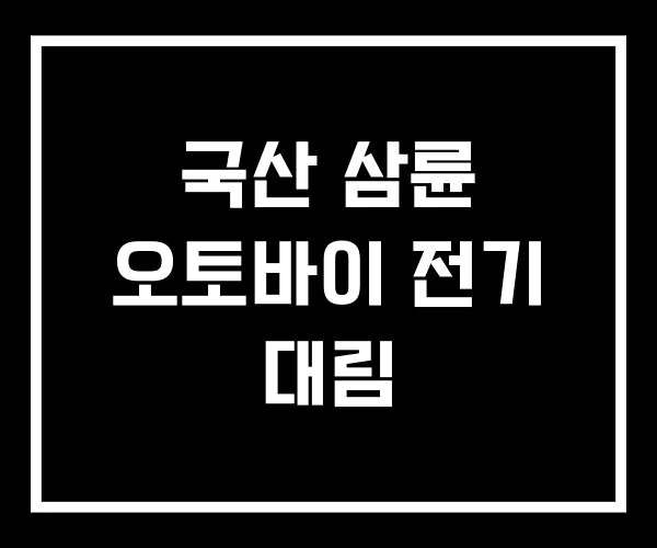 국산 삼륜 오토바이 전기 대림