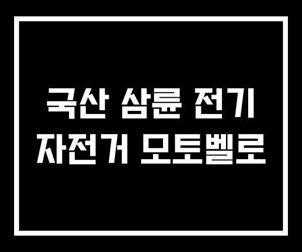 국산 삼륜 전기 자전거 모토벨로