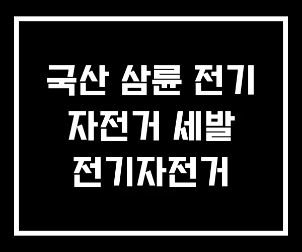 국산 삼륜 전기 자전거 세발 전기자전거
