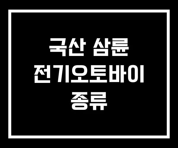 국산 삼륜 전기오토바이 종류