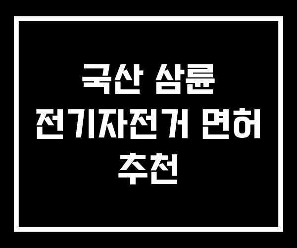 국산 삼륜 전기자전거 면허 추천