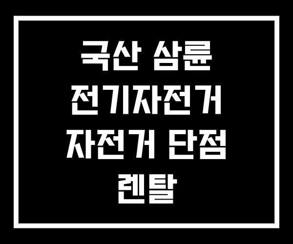 국산 삼륜 전기자전거 자전거 단점 렌탈