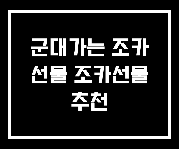 군대가는 조카 선물 조카선물 추천