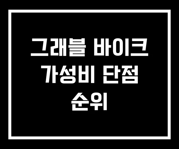 그래블 바이크 가성비 단점 순위