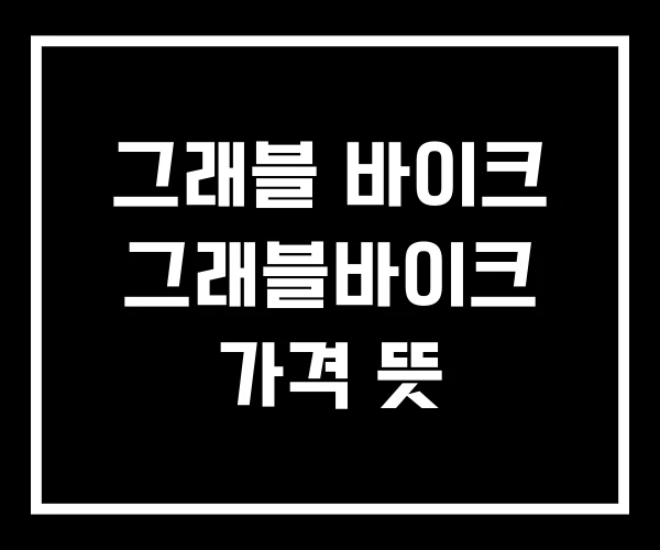 그래블 바이크 그래블바이크 가격 뜻