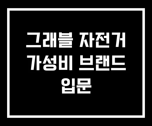 그래블 자전거 가성비 브랜드 입문