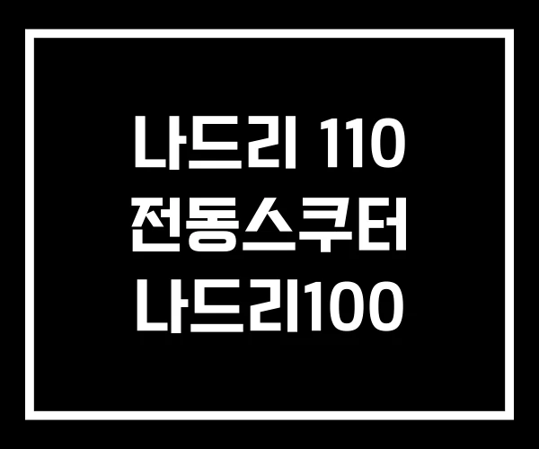 나드리 110 전동스쿠터 나드리100 나드리 110 전동스쿠터 나드리100