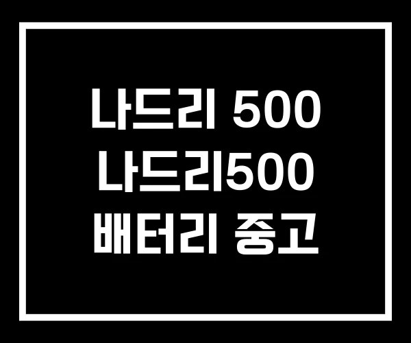 나드리 500 나드리500 배터리 중고