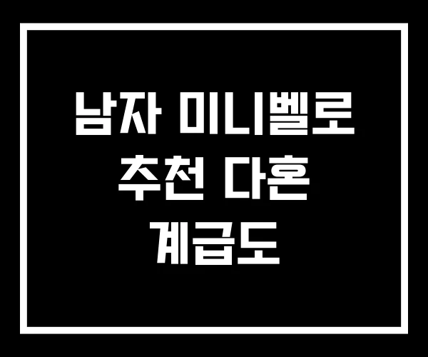 남자 미니벨로 추천 다혼 계급도