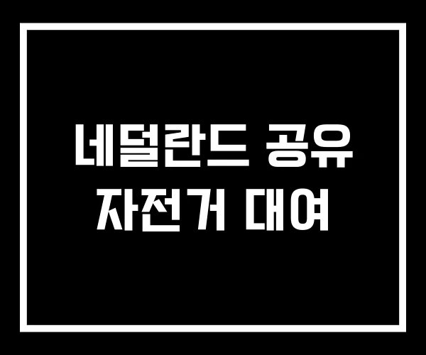 네덜란드 공유 자전거 대여 네덜란드 공유 자전거 대여