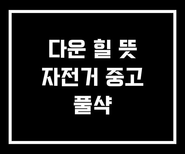 다운 힐 뜻 자전거 중고 풀샥 다운 힐 뜻 자전거 중고 풀샥