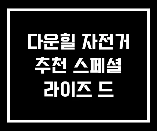 다운힐 자전거 추천 스페셜 라이즈 드