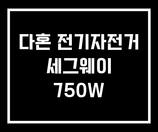 다혼 전기자전거 세그웨이 750W