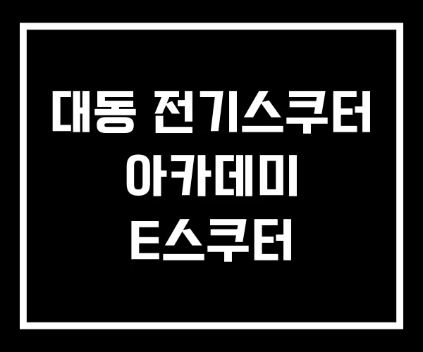 대동 전기스쿠터 아카데미 E스쿠터 대동 전기스쿠터 아카데미 E스쿠터