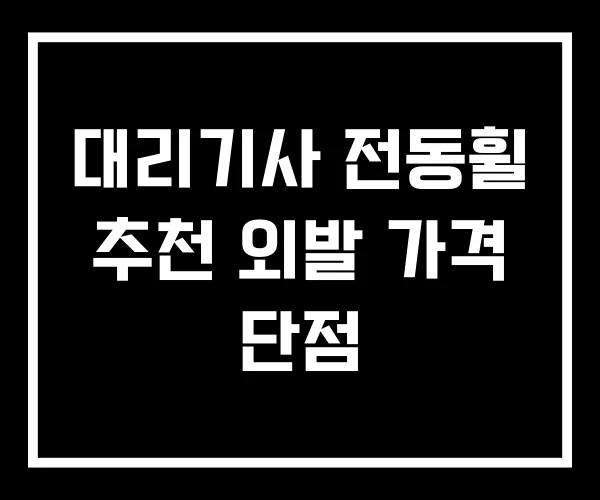 대리기사 전동휠 추천 외발 가격 단점 대리기사 전동휠 추천 외발 가격 단점