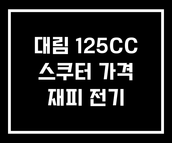 대림 125CC 스쿠터 가격 재피 전기 대림 125CC 스쿠터 가격 재피 전기