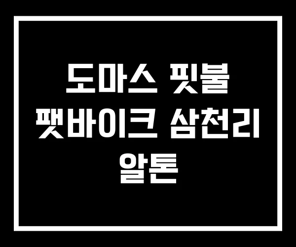 도마스 핏불 팻바이크 삼천리 알톤