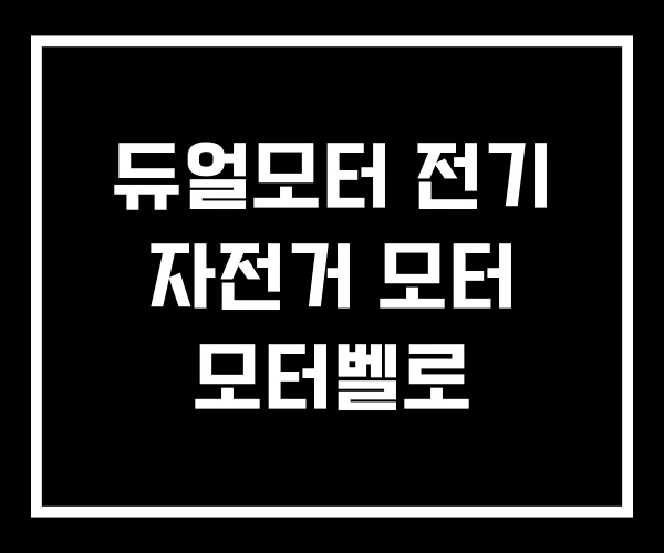 듀얼모터 전기 자전거 모터 모터벨로 듀얼모터 전기 자전거 모터 모터벨로