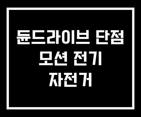 듄드라이브 단점 모션 전기 자전거 듄드라이브 단점 모션 전기 자전거