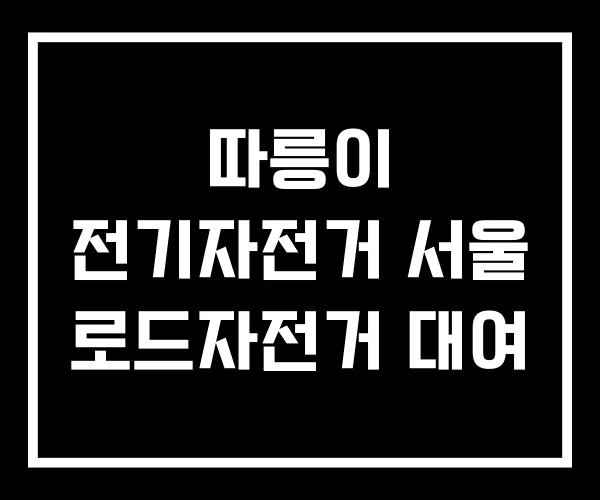 따릉이 전기자전거 서울 로드자전거 대여