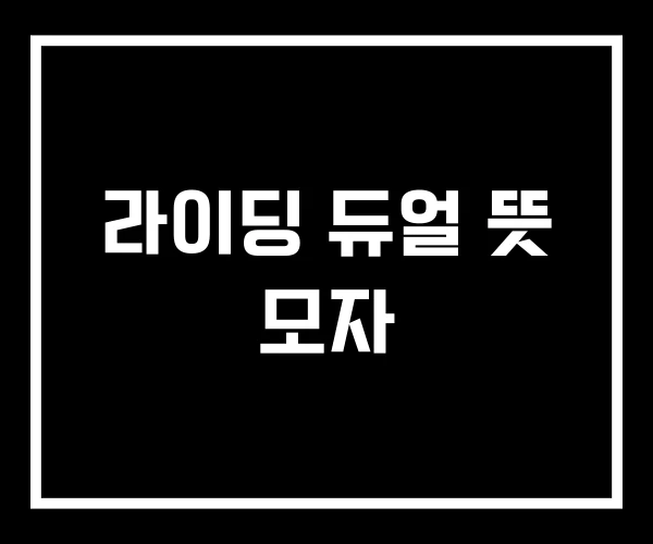 라이딩 듀얼 뜻 모자 라이딩 듀얼 뜻 모자