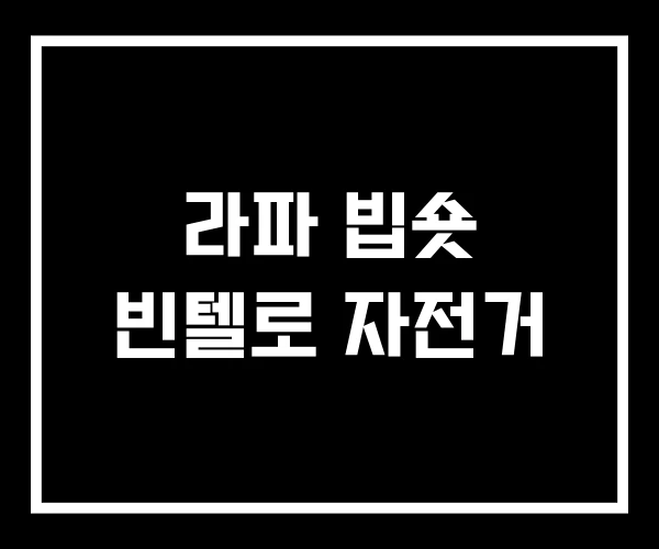 라파 빕숏 빈텔로 자전거