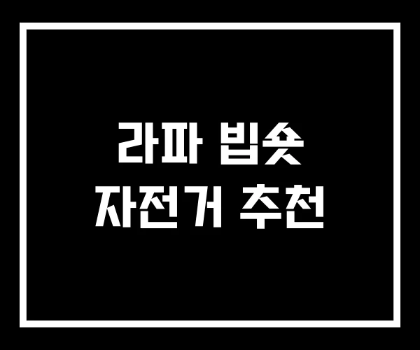 라파 빕숏 자전거 추천 라파 빕숏 자전거 추천