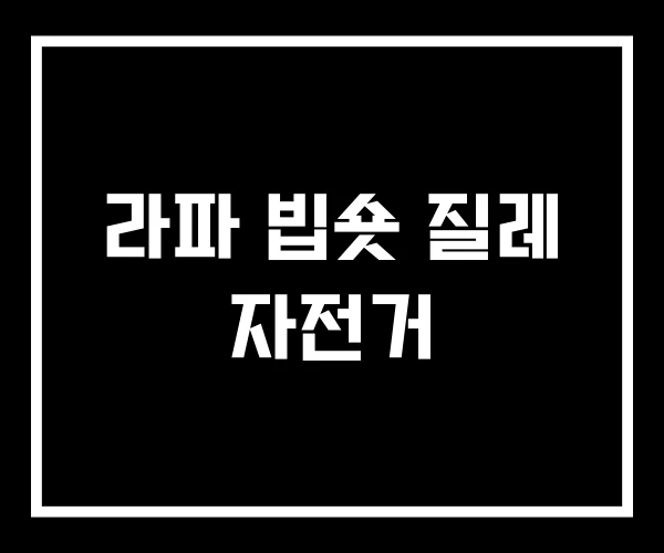 라파 빕숏 질레 자전거