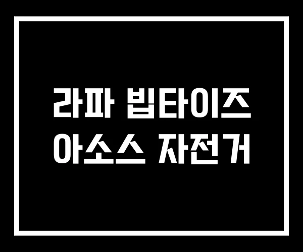 라파 빕타이즈 아소스 자전거