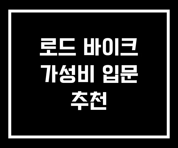 로드 바이크 가성비 입문 추천