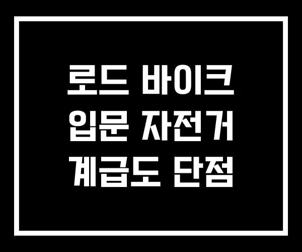 로드 바이크 입문 자전거 계급도 단점 로드 바이크 입문 자전거 계급도 단점