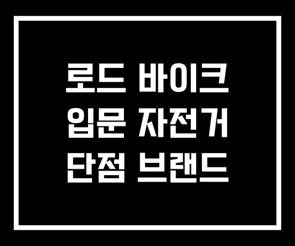 로드 바이크 입문 자전거 단점 브랜드