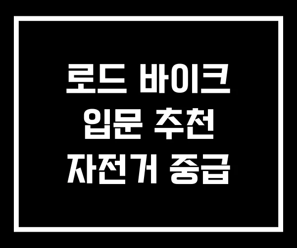 로드 바이크 입문 추천 자전거 중급 로드 바이크 입문 추천 자전거 중급