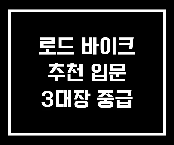 로드 바이크 추천 입문 3대장 중급