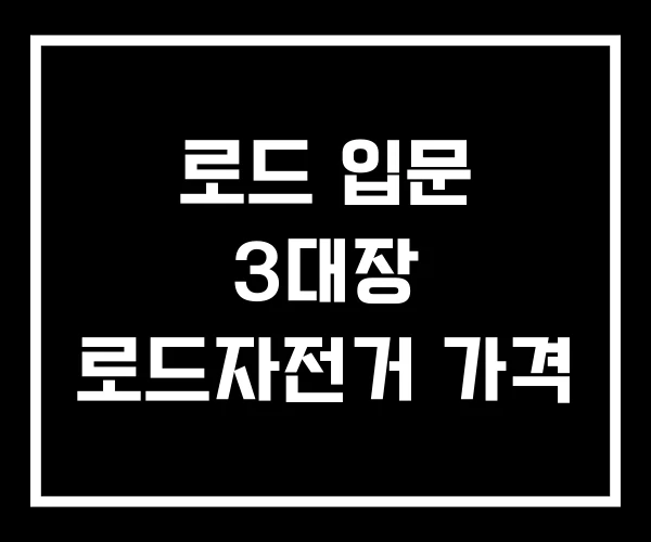 로드 입문 3대장 로드자전거 가격