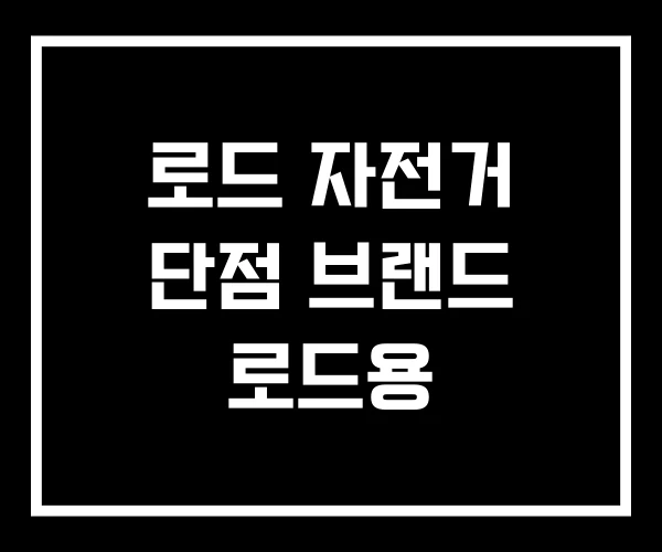 로드 자전거 단점 브랜드 로드용